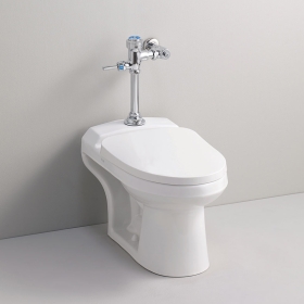 [대림바스] CC-113H 후레쉬벨브형 사이펀 양변기