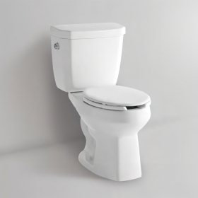 [대림] 사이펀 투피스 중형 양변기 DC-202