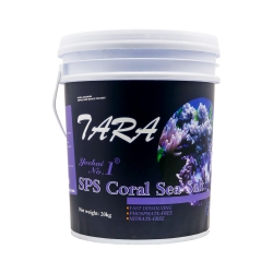 타라 SPS해수염-20kg(통)
