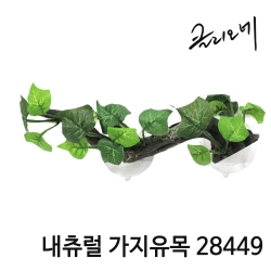 클리오네 내츄럴 가지유목 28449