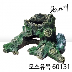 클리오네 모스유목 60131