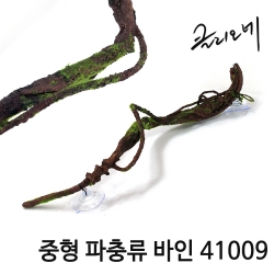 클리오네 중형 파충류 바인 41009
