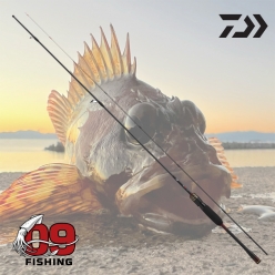 다이와 월하미인 MX 74UL-S･J