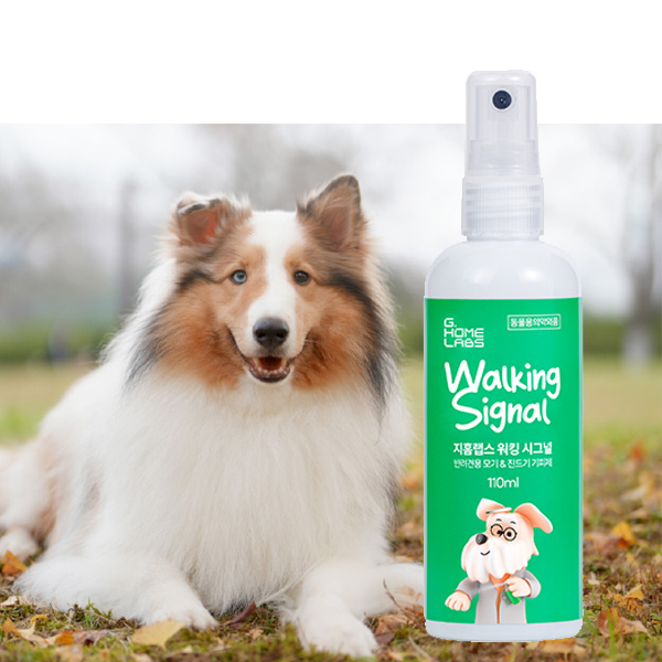 지홈랩스 워킹시그널 110ml 애견 반려견 강아지 전용 모기 기피제 진드기 퇴치제 이카리딘