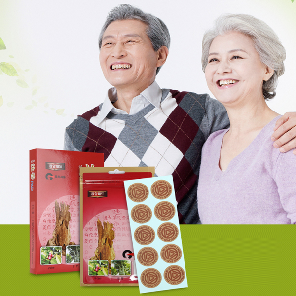 침향패드 200개 한방 건강 효도선물 동전 패치 붙이는 청림