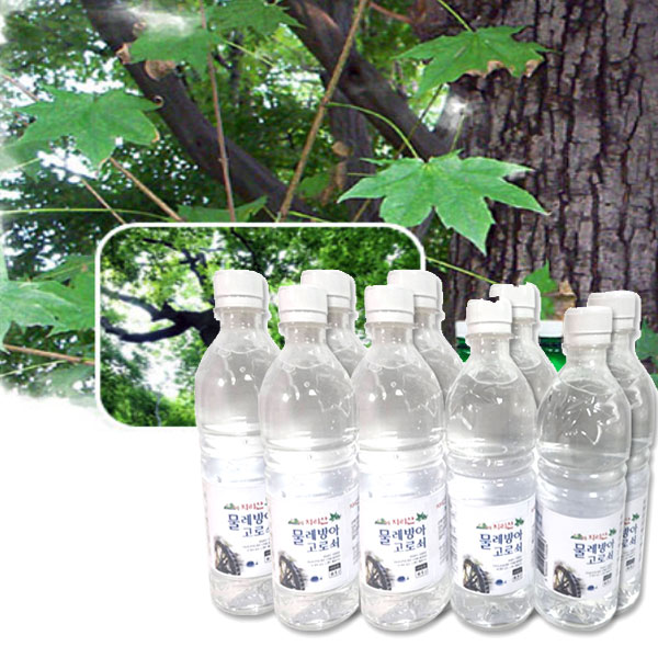지리산함양 고로쇠 영농조합법인 고로쇠 500mlx28개
