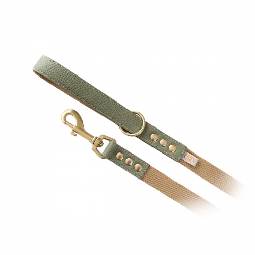 Luxury Sage