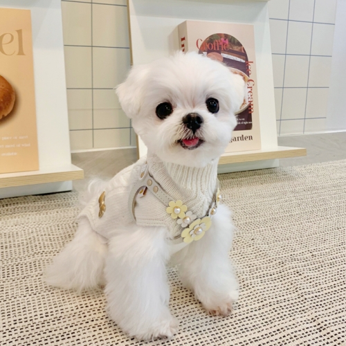 Luxury Milk Tea