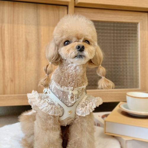 Luxury Milk Tea