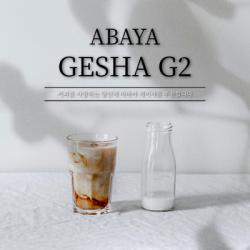 제목을 입력하세요 - 2025-02-02T161136.070.jpg