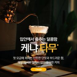 제목을 입력하세요 - 2025-08-07T021438.931.jpg