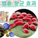 아로마 테라피 HRD-50 전용액 WSSA-H500(피톤치드리필액) 500ml