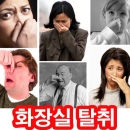 화장실 탈취제 3평,악취제거,암모니아 제거,하수구냄새,싱크대냄새,베란다냄새,신발장냄새