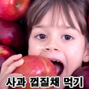 사과껍질채먹기,페르미아 S1,과일 살균소독제,유기농 새싹채소 세척,공인성적서제공,스프레이타입,500ml