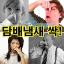 LBA-250(T)담배냄새제거제 250g,자동차,PC방,노래방,실내골프연습장,베란다