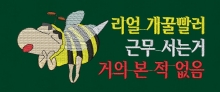 10-19 짱구 꿀벌