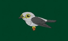 10-183 새 뻐꾸기