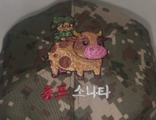 10-252 소 소타는 군인