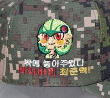 10-433 포켓몬 가디안