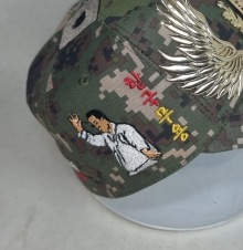 10-437 전통 무용 택견 고수 명인