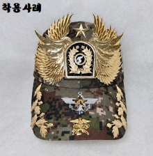 전하날 대한해군, 공군 뱃지 모음 Version2026