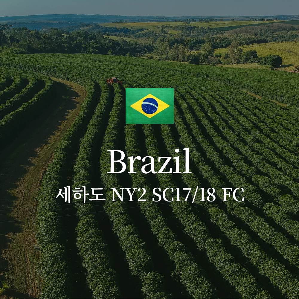 브라질 세하도 NY2 SC17/18 FC