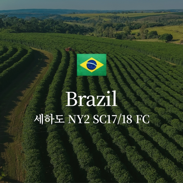 브라질 세하도 NY2 SC17/18 FC