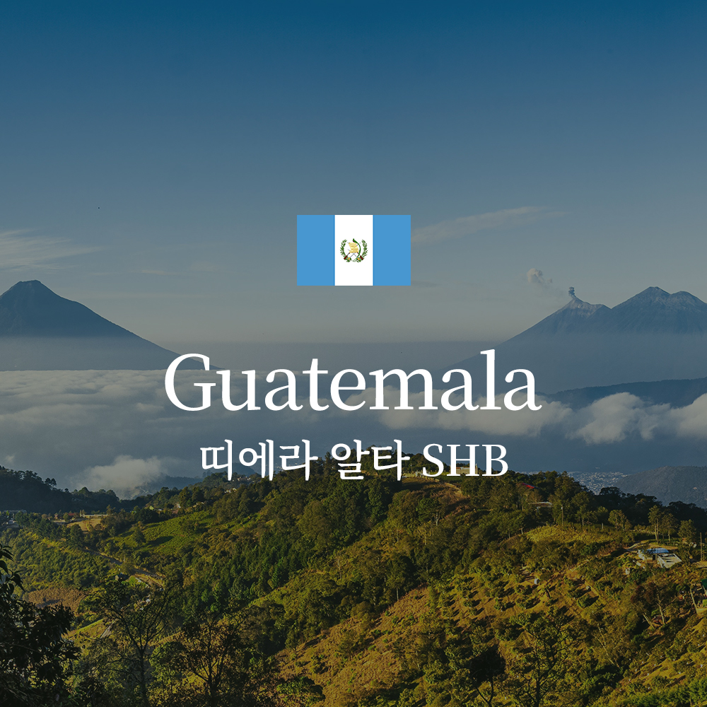 과테말라 띠에라 알타 SHB