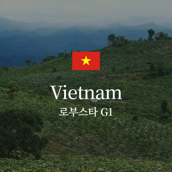 베트남 로부스타 G1