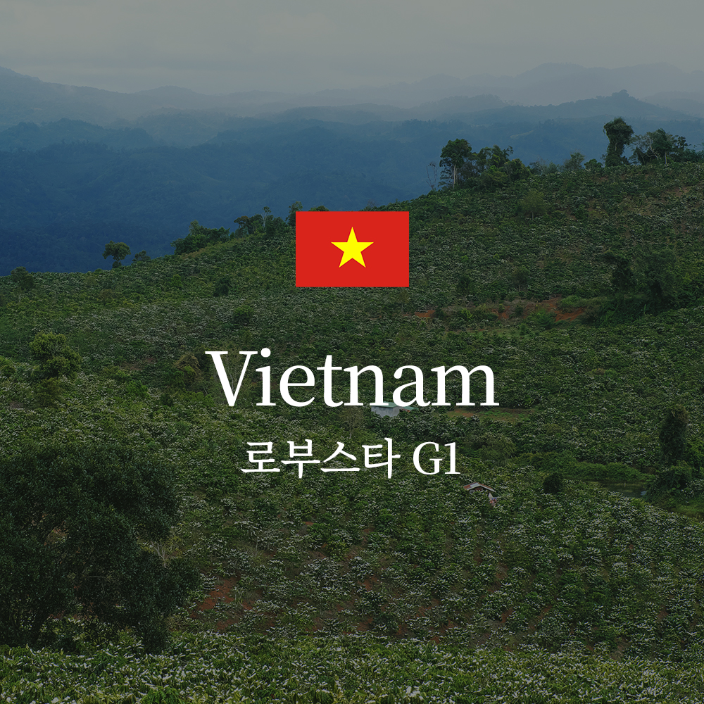 베트남 로부스타 G1