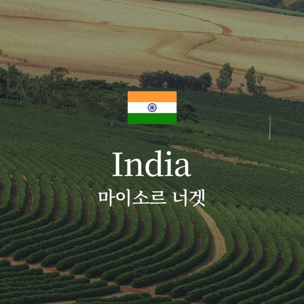 인도 마이소르 너겟 엑스트라 볼드