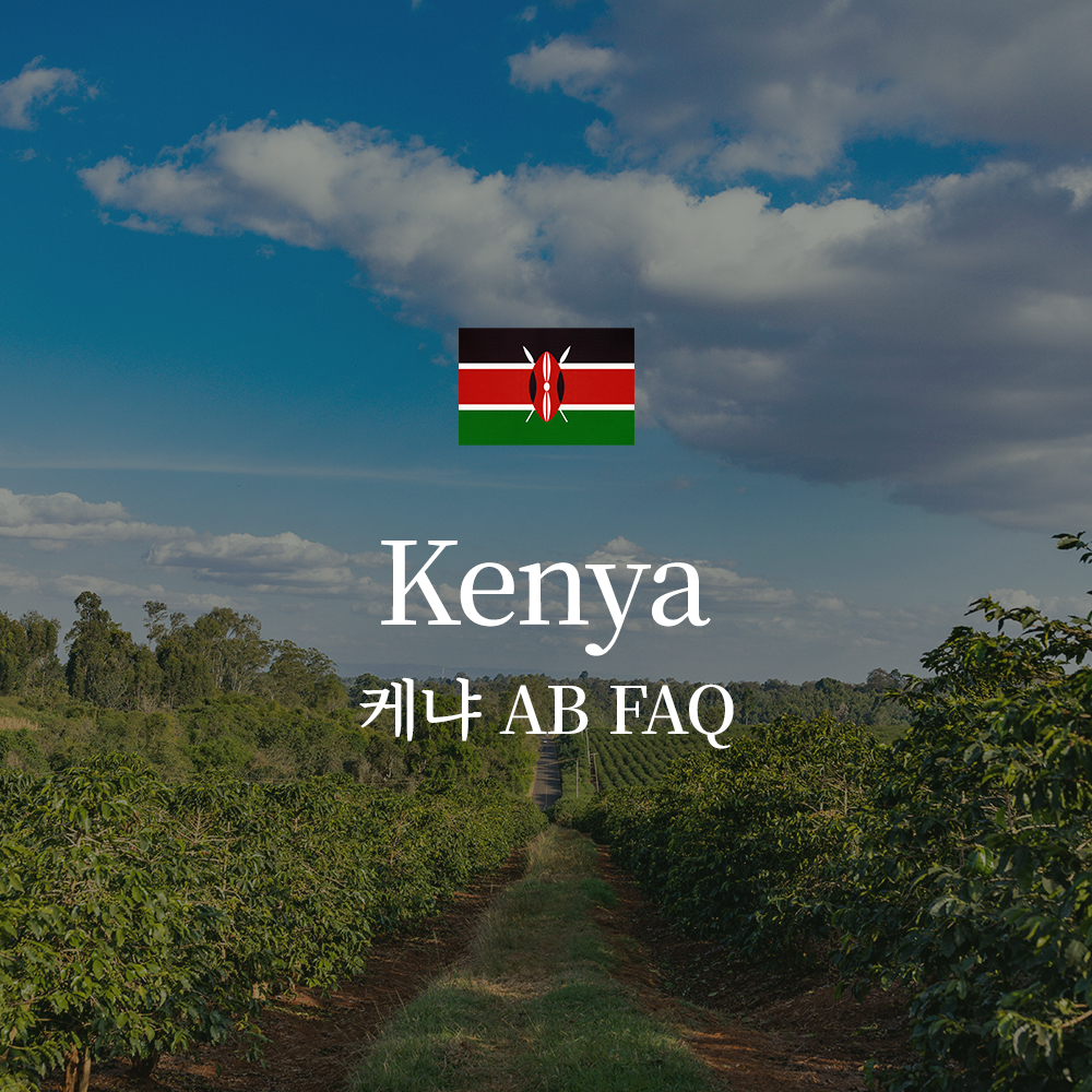 케냐 AB FAQ