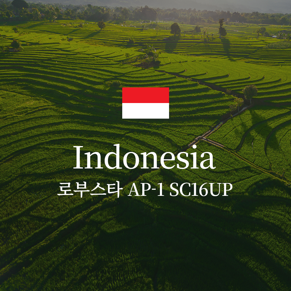 인도네시아 로부스타 AP-1 SC16UP