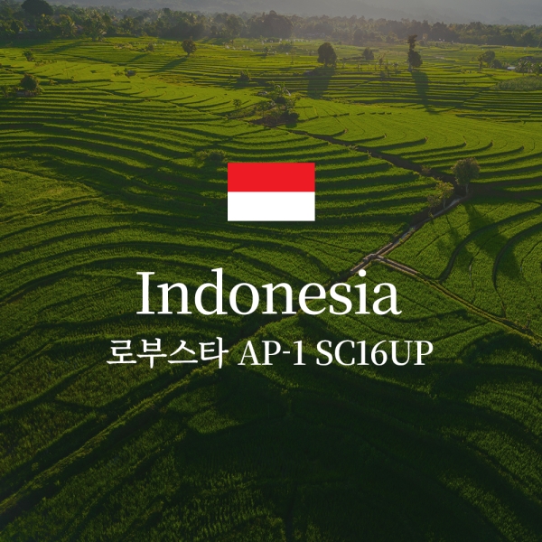 인도네시아 로부스타 AP-1 SC16UP