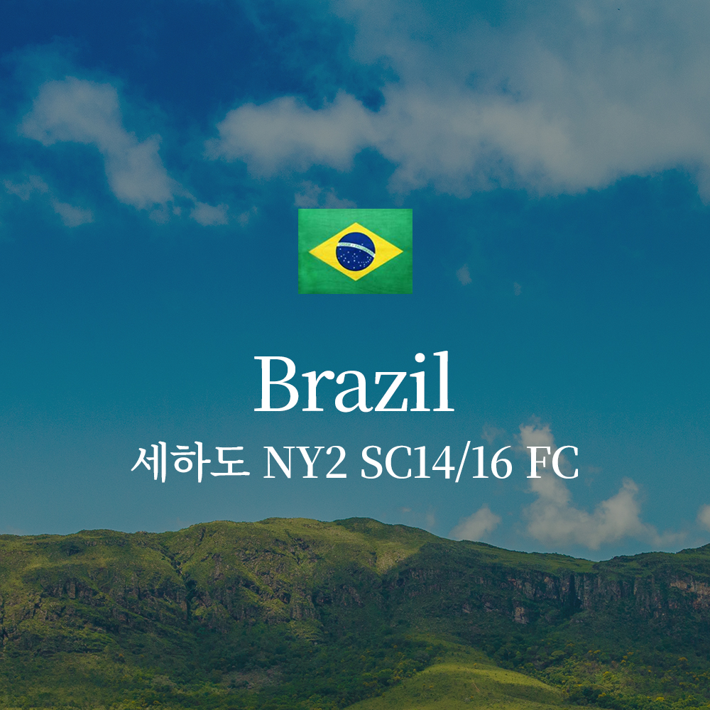 브라질 세하도 NY2 SC14/16 FC