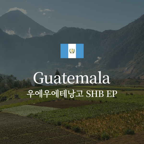 과테말라 우에우에테낭고 SHB EP