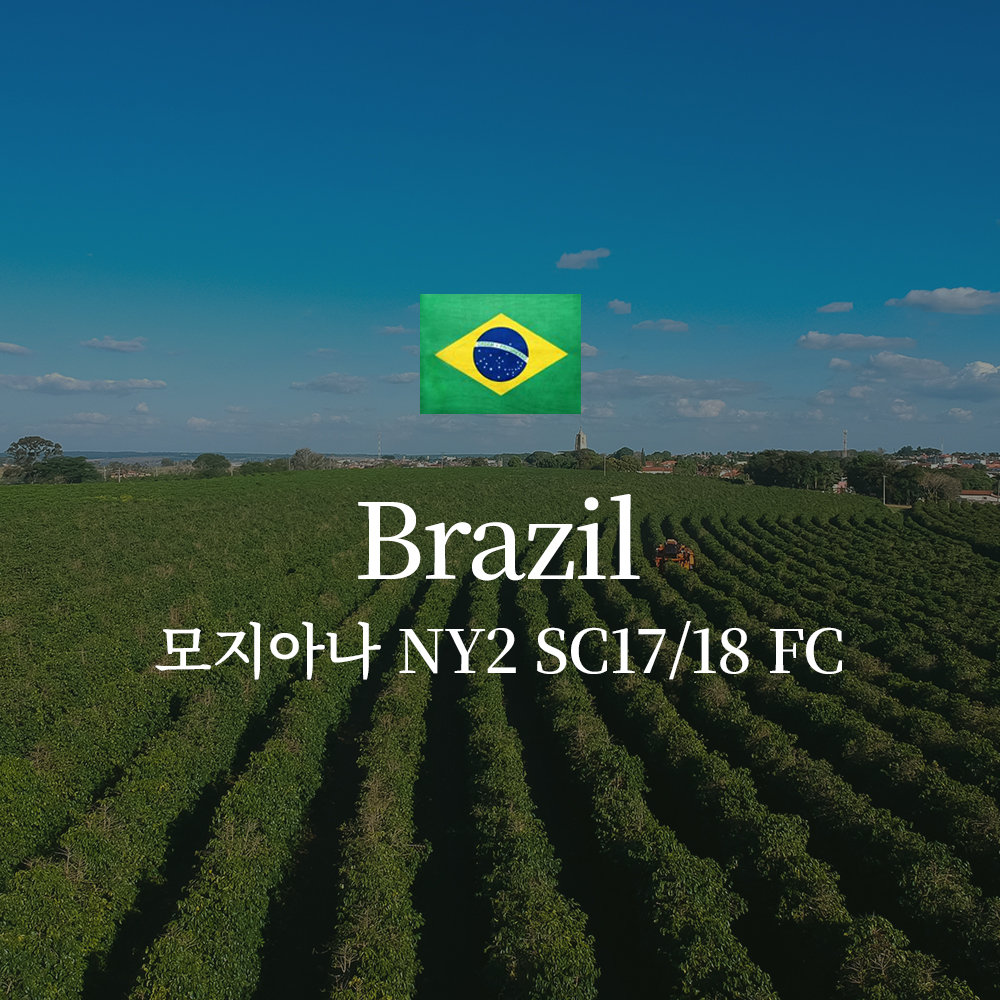 브라질 모지아나 NY2 SC17/18 FC