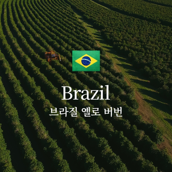 브라질 옐로우 버번