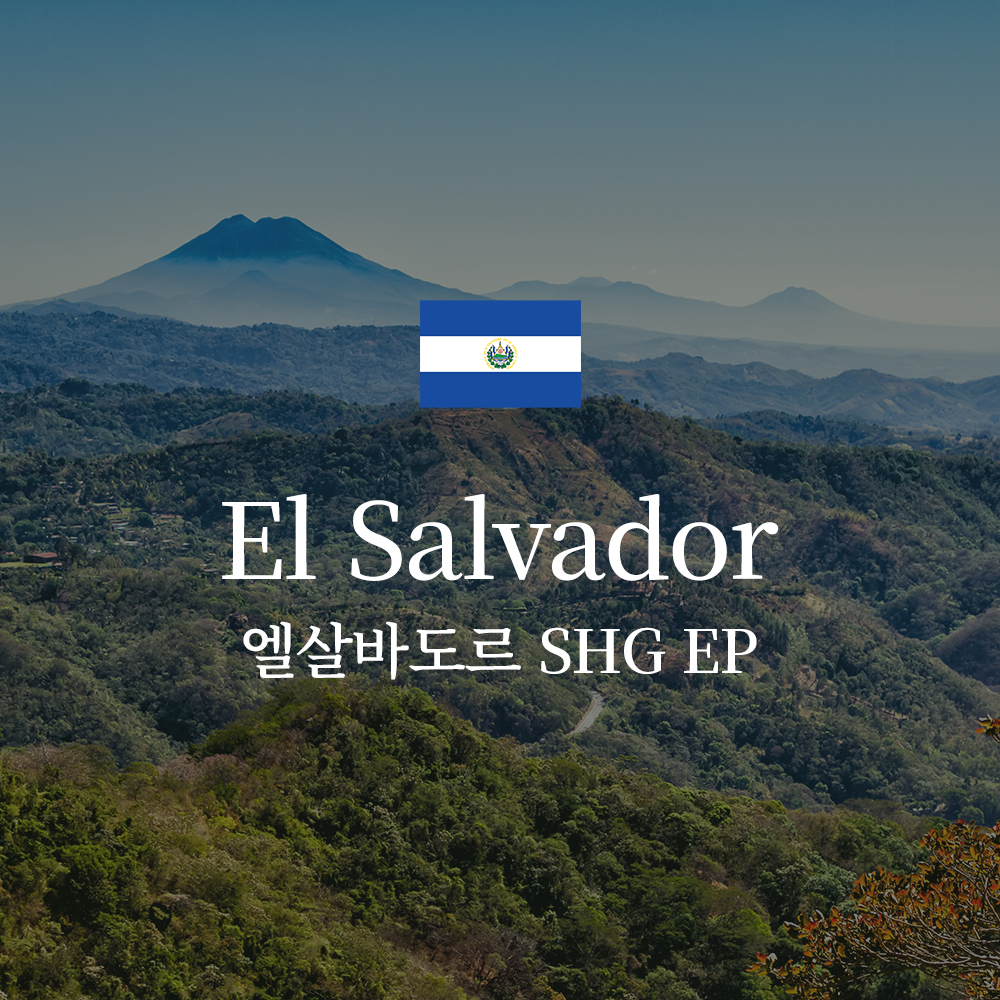 엘살바도르 SHG EP