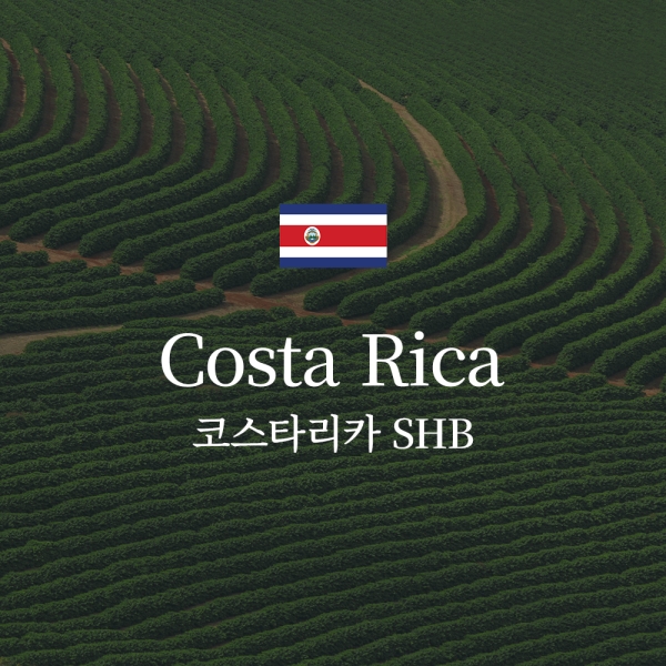 코스타리카 SHB