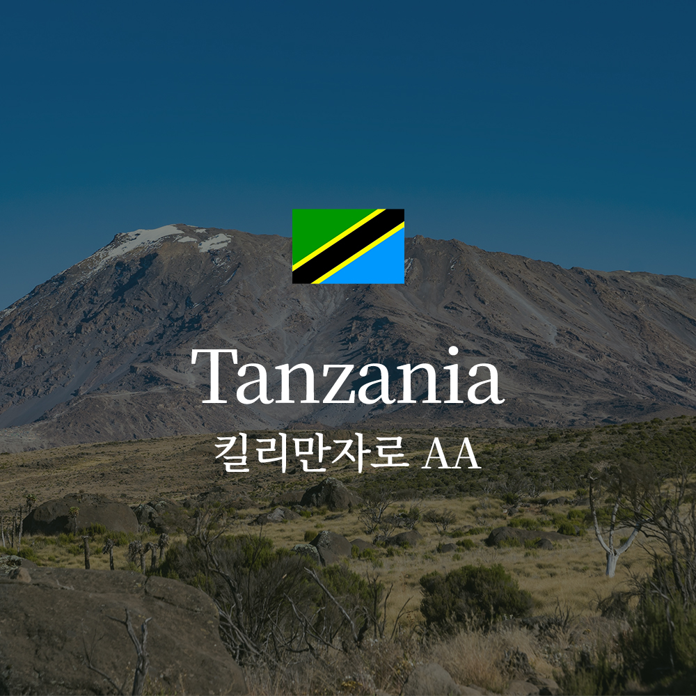 탄자니아 킬리만자로 AA