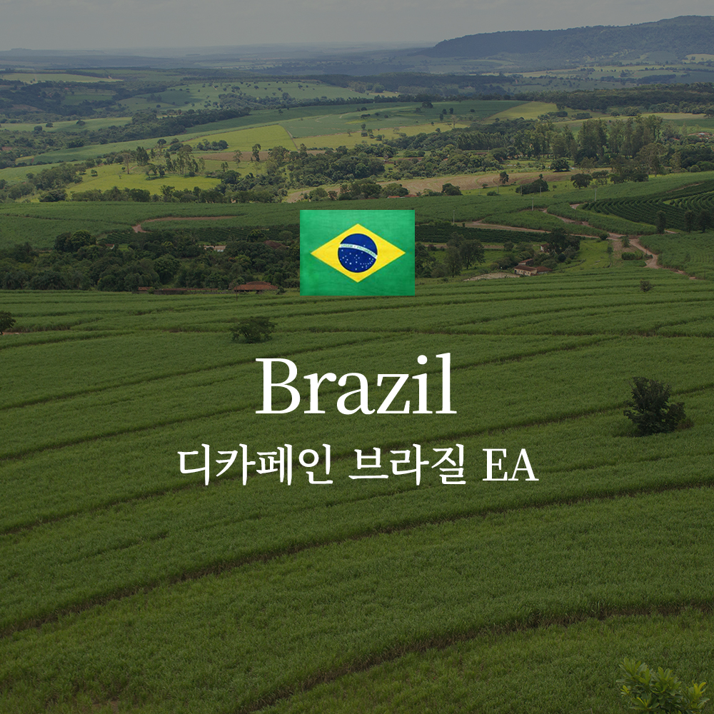 디카페인 브라질 EA