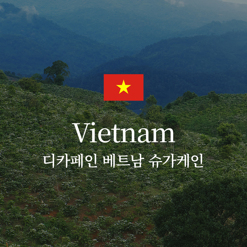 디카페인 베트남 로부스타 G1 SC16 한제아틱 슈가케인