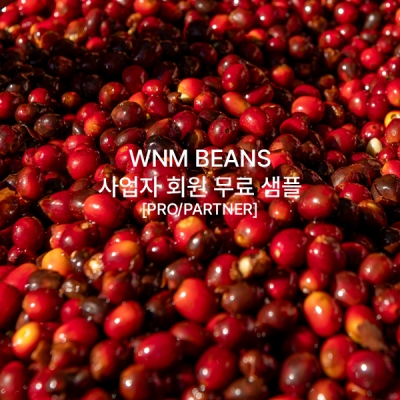 ['26년 9월] 사업자 회원 무료 샘플 II