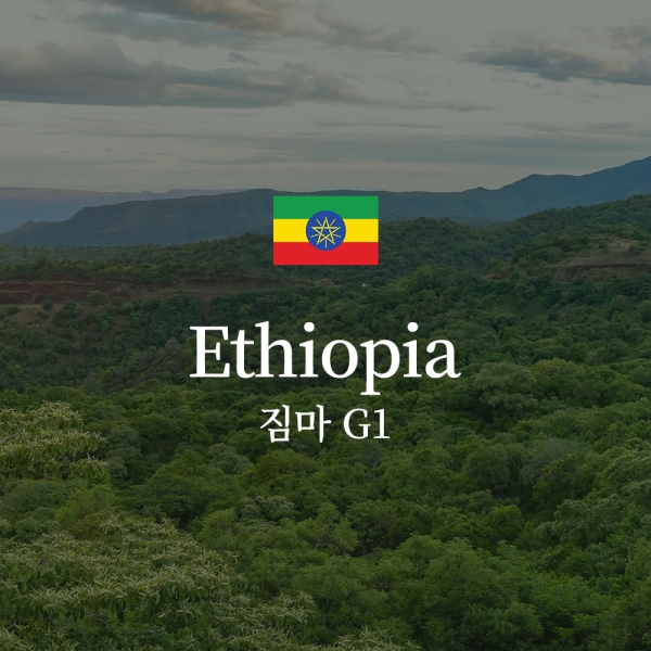 에티오피아 짐마 G1