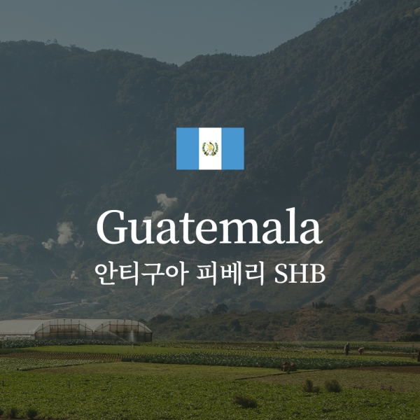 과테말라 안티구아 피베리 SHB