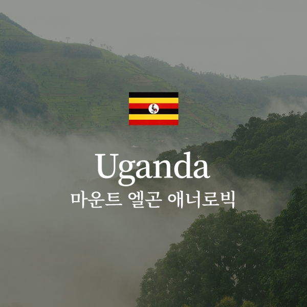 우간다 마운트 엘곤 애너로빅