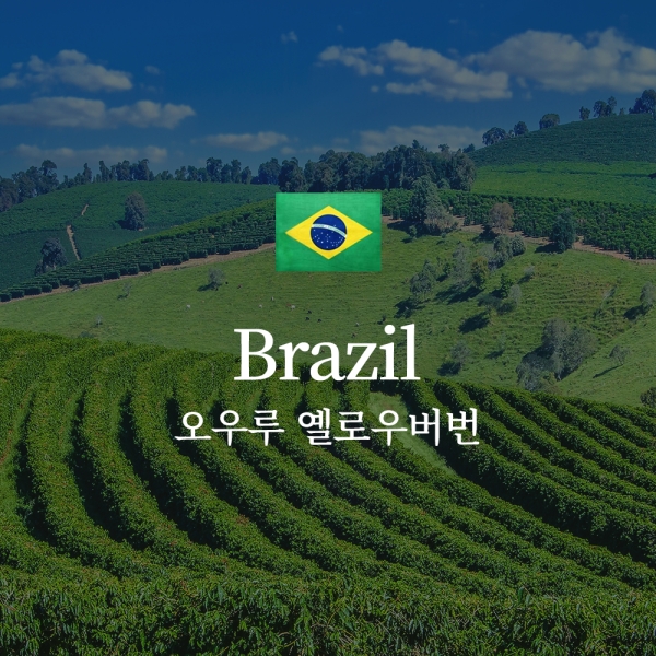브라질 오우루 옐로우버번