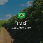 브라질 도라도 옐로우버번