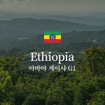 에티오피아 아바야 게이샤 G1
